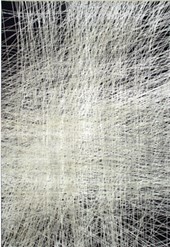 2599.jpg